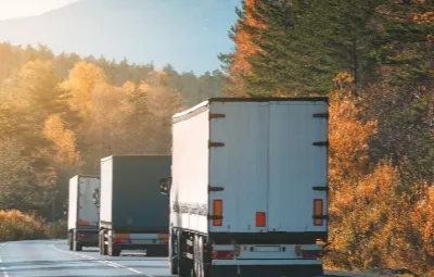 Konya Topağacı | Klima Taşıma